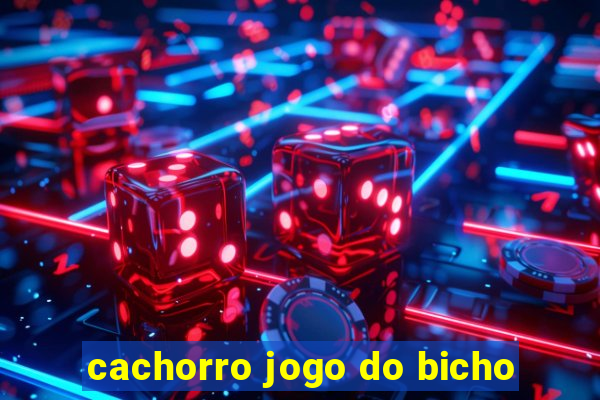 cachorro jogo do bicho